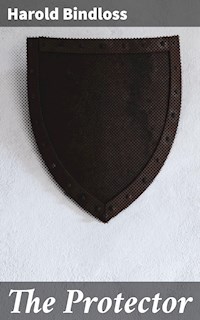 The Protector - Harold Bindloss - E-Book