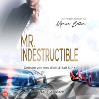 Mr. Indestructible - Lisa Torberg - Hörbuch