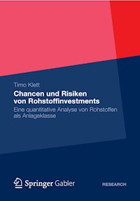 Chancen und Risiken von Rohstoffinvestments - Timo Klett - E-Book