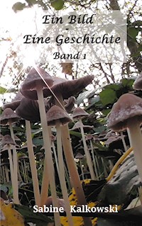 Ein Bild - Eine Geschichte - Sabine Kalkowski - E-Book
