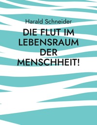 Die Flut im Lebensraum der Menschheit! - Harald Schneider - E-Book