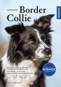 Border Collie - Tanja Köhler - E-Book