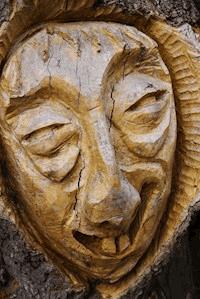 Telepathische Aphorismen - Zeljko Mance - E-Book