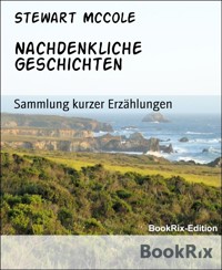 Nachdenkliche Geschichten - Stewart McCole - E-Book