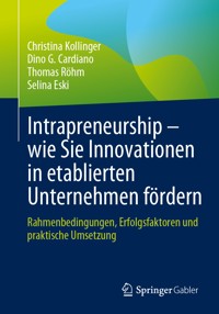 Intrapreneurship – wie Sie Innovationen in etablierten Unternehmen fördern - Christina Kollinger - E-Book