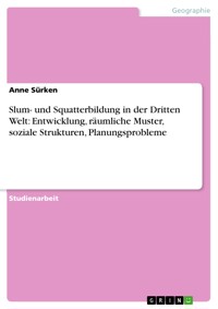 Slum- und Squatterbildung in der Dritten Welt: Entwicklung, räumliche Muster, soziale Strukturen, Planungsprobleme - Anne Sürken - E-Book