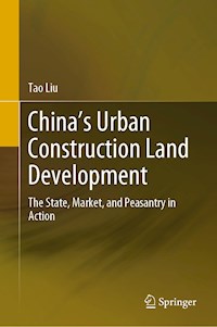 China’s Urban Construction Land Development - Tao Liu - E-Book
