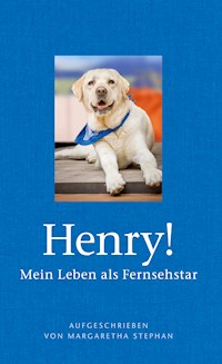Henry! Mein Leben als Fernsehstar - Margaretha Stephan - E-Book