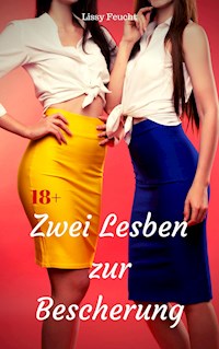 Zwei Lesben zur Bescherung - Lissy Feucht - E-Book