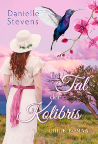 Im Tal der Kolibris - DANIELLE STEVENS - E-Book
