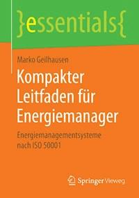 Kompakter Leitfaden für Energiemanager - Marko Geilhausen - E-Book