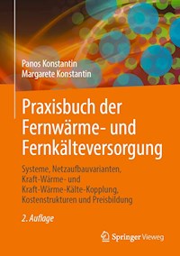 Praxisbuch der Fernwärme- und Fernkälteversorgung - Panos Konstantin - E-Book