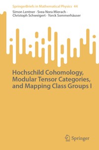 Hochschild Cohomology, Modular Tensor Categories, and Mapping Class Groups I - Simon Lentner - E-Book