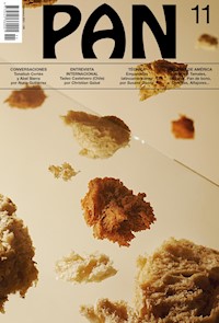 PAN 11 - aa.vv - E-Book