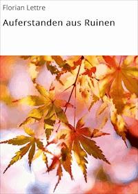 Auferstanden aus Ruinen - Florian Lettre - E-Book