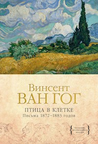 Птица в клетке. Письма 1872–1883 годов - Винсент Ван Гог - E-Book