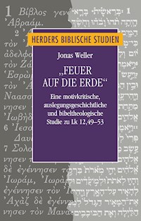 "Feuer auf die Erde" - Jonas Weller - E-Book