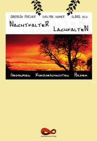 Nachtfalter Lachfalten - Andreas Pircher - E-Book
