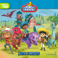 Épisode 31: Blitz s'enfruit -  - Hörbuch