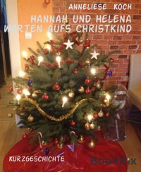 Hannah und Helena warten aufs Christkind - Anneliese Koch - E-Book