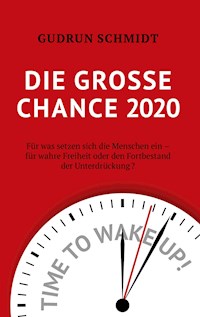 Die große Chance 2020 - Gudrun Schmidt - E-Book