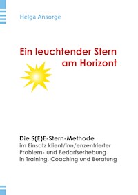 Ein leuchtender Stern am Horizont - Helga Ansorge - E-Book