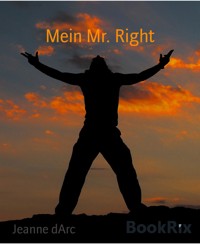 Mein Mr. Right - Jeanne dArc - E-Book