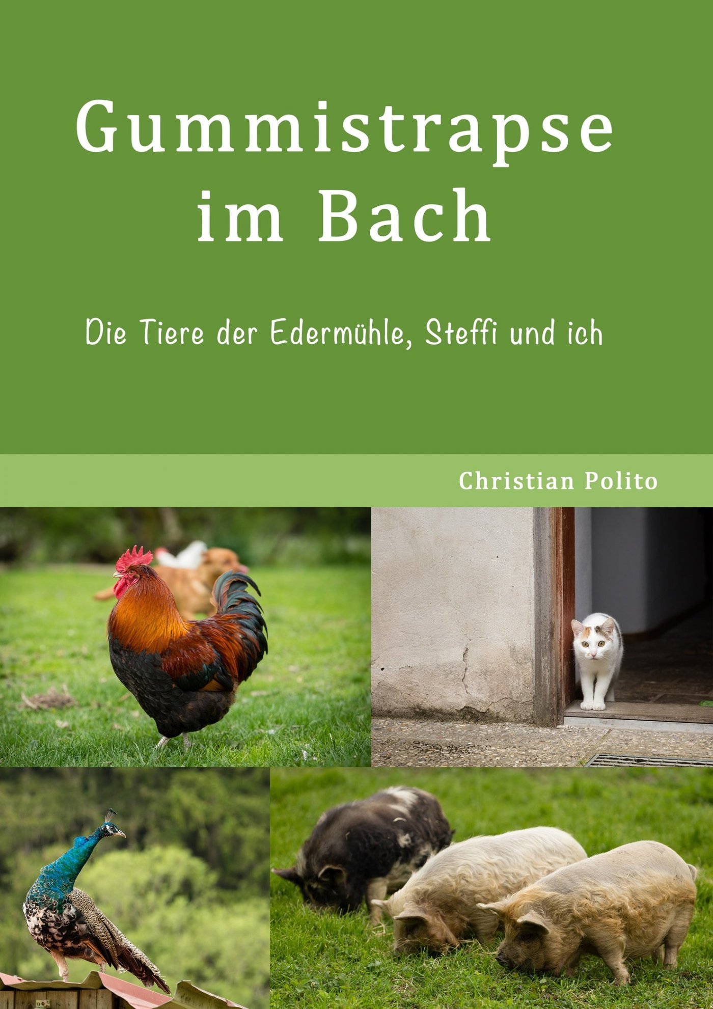 Gummistrapse im Bach - Christian Polito - E-Book