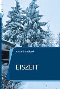 Eiszeit - Katrin Bombitzki - E-Book