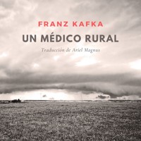 Un médico rural - Franz  kafka - Hörbuch
