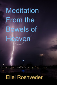 Meditation From The Bowels Of Heaven - Eliel Roshveder - E-Book