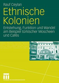 Ethnische Kolonien - Rauf Ceylan - E-Book