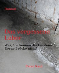 Das vergessene Labor - Peter Kaul - E-Book
