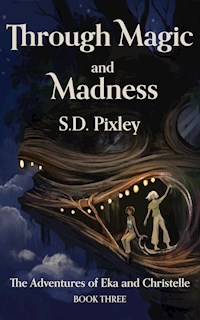 Through Magic and Madness - S.D. Pixley - E-Book
