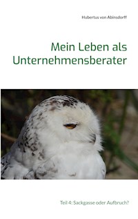 Mein Leben als Unternehmensberater - Hubertus von Abinsdorff - E-Book