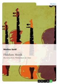 Fluidum Musik. Die körperliche Wirklichkeit der Töne - Mathes Seidl - E-Book
