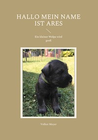 Hallo mein Name ist Ares - Volker Meyer - E-Book