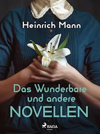 Das Wunderbare und andere Novellen - Heinrich Mann - E-Book