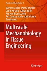 Multiscale Mechanobiology in Tissue Engineering - Damien Lacroix - E-Book