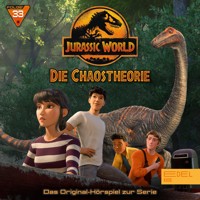 Folge 33: Eine lange Nacht / Wer solche Freunde hat (1) [Das Original-Hörspiel zur Serie] - Mareike Wolfgarten - Hörbuch