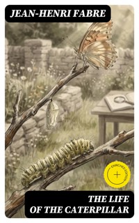 The Life of the Caterpillar - Jean-Henri Fabre - E-Book