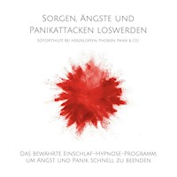 Sorgen, Ängste und Panikattacken loswerden: Soforthilfe bei Herzklopfen, Phobien, Panik & Co. - Patrick Lynen - Hörbuch