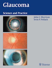 Glaucoma - John C. Morrison - E-Book