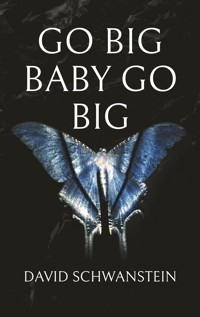 Go big baby go big - David Schwanstein - E-Book