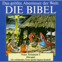 Die Bibel - Neues Testament (Vol. 1) - Traditionell - Hörbuch