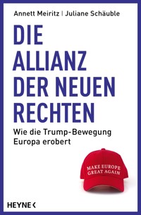 Die Allianz der Neuen Rechten - Annett Meiritz - E-Book
