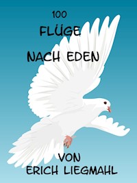 100 Flüge nach Eden - Erich Liegmahl - E-Book