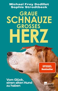 Graue Schnauze, großes Herz - Michael Frey Dodillet - E-Book