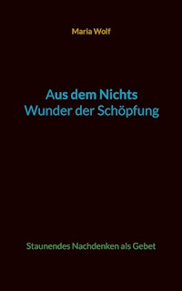 Aus dem Nichts - Wunder der Schöpfung - Maria Wolf - E-Book