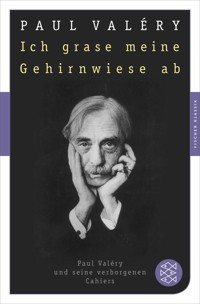 Ich grase meine Gehirnwiese ab - Paul Valéry - E-Book
